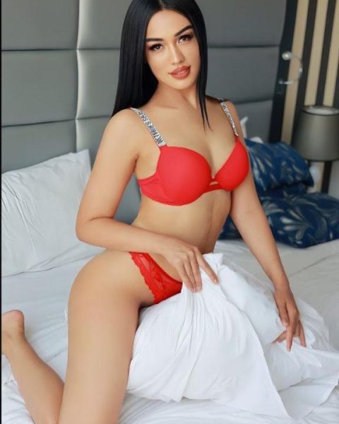 WhatsApp Image 2025-03-18 at 3.58.46 PM